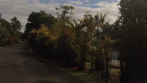 Moving forward riding view at a backroad in tropical Pacific Cook Islands where  Stock Footage 235308748