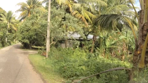 Moving forward riding view at a backroad in tropical Pacific Cook Islands where  Stock Footage 235308865