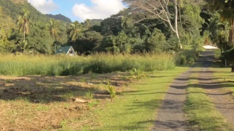 Moving forward riding view at a backroad in tropical Pacific Cook Islands where  Stock Footage 235309860