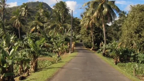 Moving forward riding view at a backroad in tropical Pacific Islands where Polyn Stock Footage 235310348