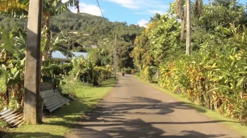 Moving forward riding view at a backroad in tropical Pacific Islands where Polyn Stock Footage 235310383