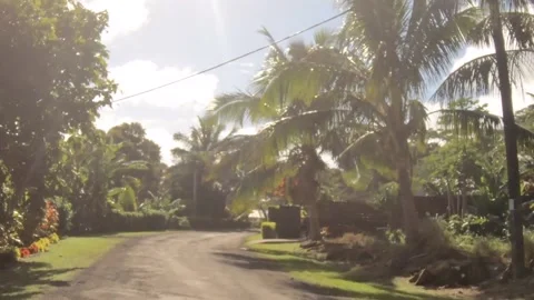 Moving forward riding view at a backroad in tropical Pacific Islands where Polyn Stock Footage 235310458