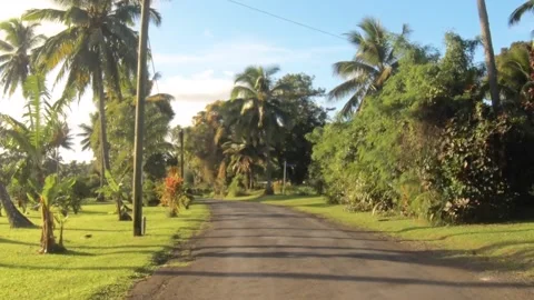 Moving forward riding view at a backroad in tropical Pacific Islands where Polyn Stock Footage 235311119