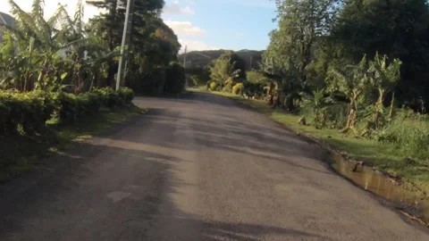 Moving forward riding view at a backroad in tropical Pacific Islands where Polyn Stock Footage 235311381