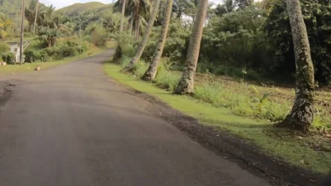 Moving forward riding view at a backroad in tropical Pacific Cook Islands where  Stock Footage 235323064