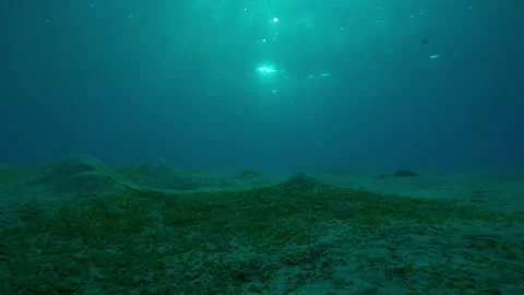 Moving forward in shallow water above hilly sand bottom in the evening light Stock Footage 317273022