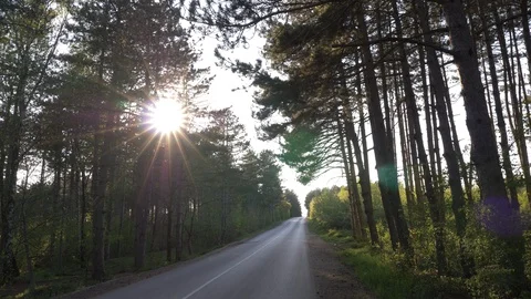 Moving Forward Shot Of An Epic Path In The Middle Of Forest At Sunset Video stock 129181111