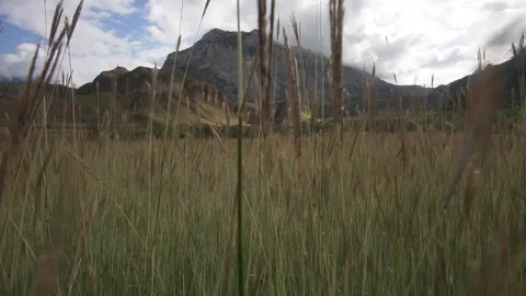 Moving forward through the grass to the mountain 動画素材 162561463