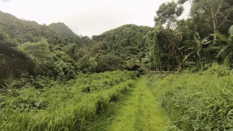 Moving forward walking along the mud primitive dirt grass hiking trail road rout Stock Footage 245441794