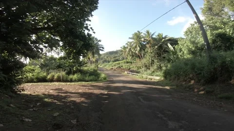 Moving forward walking view at a backroad in tropical Pacific Cook Islands Stock Footage 233671622