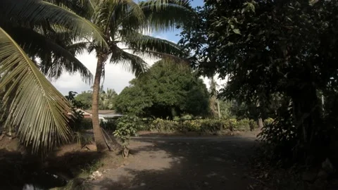 Moving forward walking view at a backroad in tropical Pacific Cook Islands Stock Footage 233674077