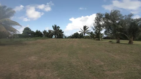 Moving forward walking view from a well maintained trimmed grassland Stock Footage 233673940