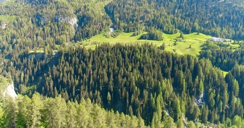 Moving forward to woods forest and mountain valley with sun flare in summer day Stock Footage 93853573