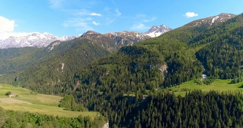 Moving forward to woods forest and mountain valley with sun flare in summer day Stock Footage 93853610