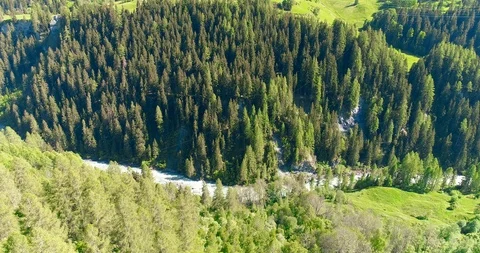 Moving forward to woods forest and mountain valley with sun flare in summer day Stock Footage 93853669