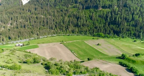 Moving forward to woods forest and mountain valley in summer day.Europe Italy Stock Footage 94049081