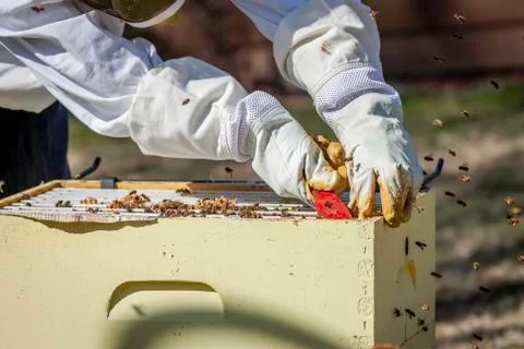 Moving the Frames Stock Photos