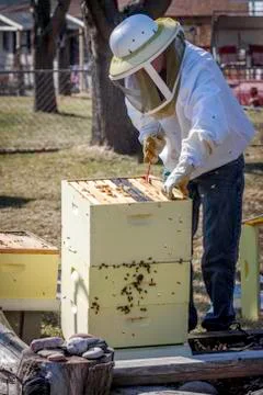 Moving the Frames Stock Photos