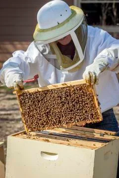 Moving the Frames Stock Photos