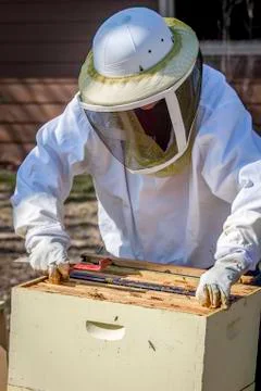 Moving the Frames Stock Photos