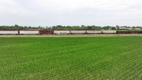 Moving freight train over green cornfield. Video stock 243597301