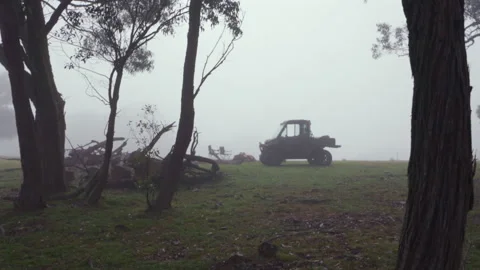 Moving gimbal shot through eucalyptus trees revealing an ATV in a mist-covered Video stock 342337498