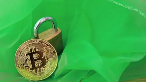 Moving glitter over bitcoin on green background with padlock Stock Footage 133424853