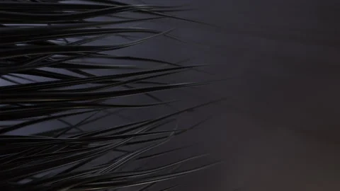 Moving glowing cables or wires. Flowing technological fibers are similar to.. Stock Footage 267166991