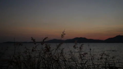 Moving grass flower tree with strong wind, moving wave in sea, silhouette mou Stock-Footage 126617814