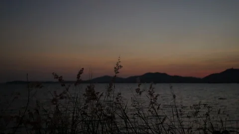 Moving grass flower tree with strong wind, moving wave in sea, silhouette mou Stock Footage 126617993