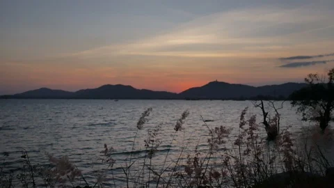 Moving grass flower tree with strong wind, moving wave in sea, silhouette mou Stock-Footage 126618019