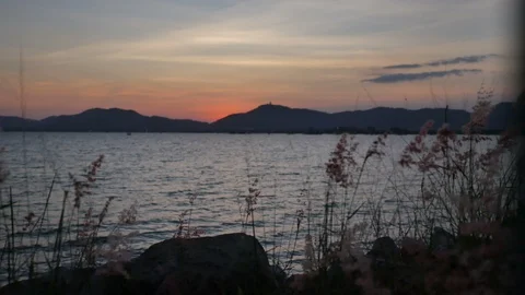 Moving grass flower tree with strong wind, moving wave in sea, silhouette mou Stock-Footage 126618087