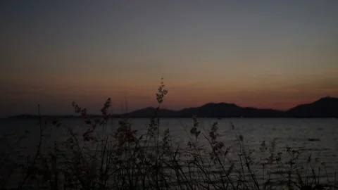 Moving grass flower tree with strong wind, moving wave in sea, silhouette mou Stock-Footage 126618501