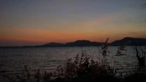 Moving grass flower tree with strong wind, moving wave in sea, silhouette mou Stock-Footage 126618526