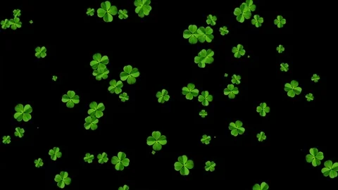 Moving green clover leaves motion graphics with plain black background Stock Footage 336965250