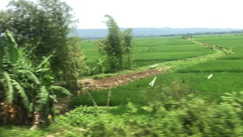 Moving green landscape Stock Footage 303170382