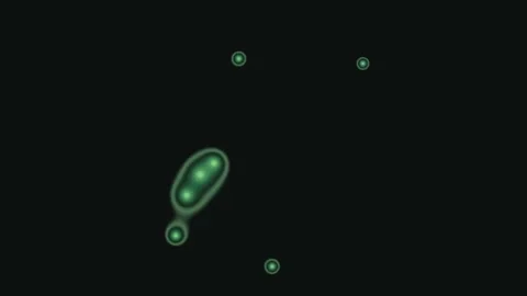 Moving green particles with blurred edges in dark 库存影片 338317034