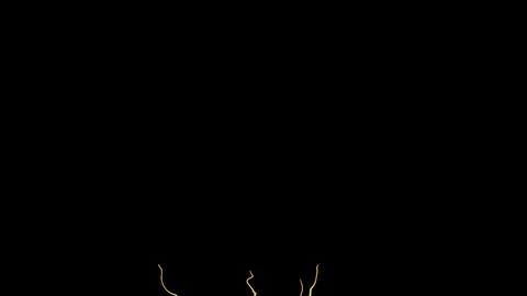 Moving growing roots on black background... | Stock Video | Pond5