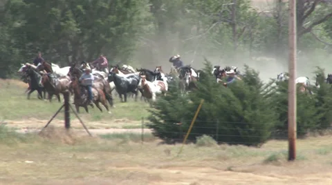 Moving the Horses Stock Footage 36277313