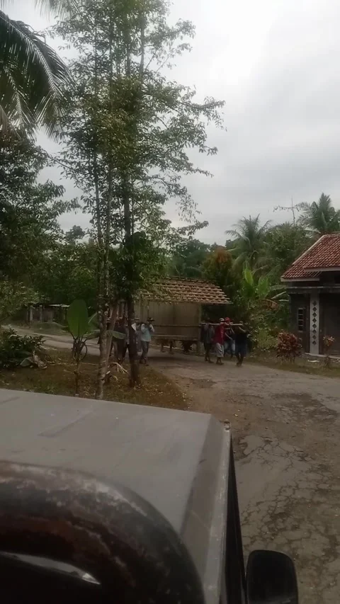 Moving house Stock Footage 217884006