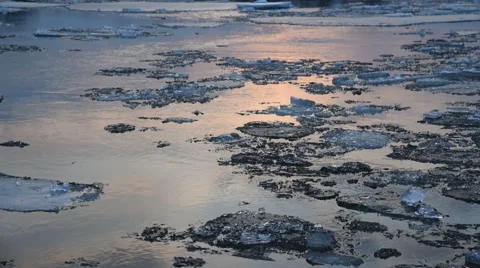 Moving ice floes at sunset Stock-Footage 61932566