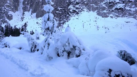 Moving in idyllic nature in alpine valley Tamar, Slovenia Stock Footage 177456224