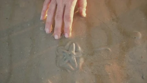 Moving image of hand next to starfish lying and covered by sand and water Stock Footage 230127404