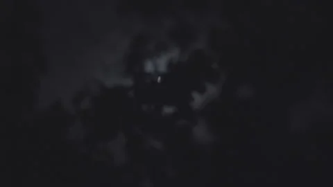 Moving images of the moon through trees on a dark cloudy night - S-Log Stock Footage 314803713