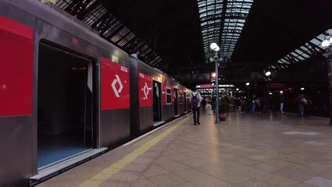 Moving inside the Luz Station, trains and passengers at the boarding and landing Stock Footage 252109825