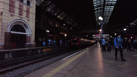 Moving inside the Luz Station, trains and passengers Stock Footage 252147589