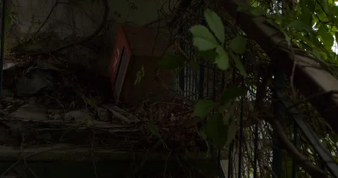 Moving up inside the old building 스톡 동영상 92638120