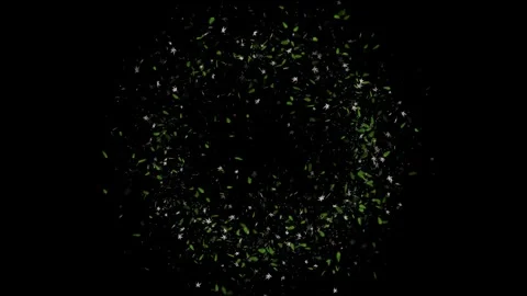 Moving inside a Weed Tunnel Trippy animation high culture Marijuana day, Cannabi Video stock 341913011