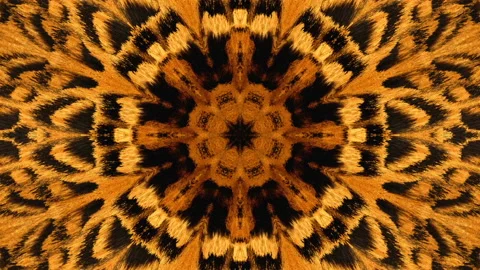 Moving Kaleidoscope - Leopard Stock Footage 181238660