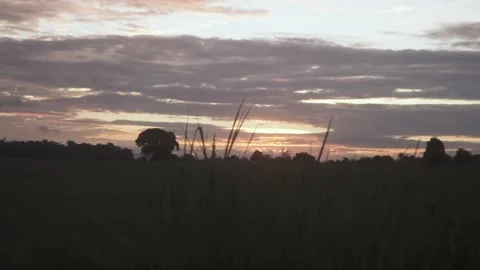 Moving landscape. Landscape slow motion. Sunset. Horizon in motion. Silhuetette Stock Footage 212810979